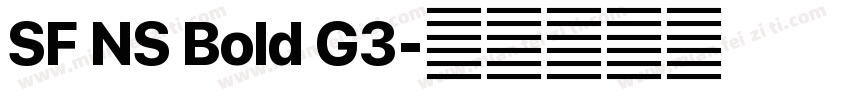 SF NS Bold G3字体转换